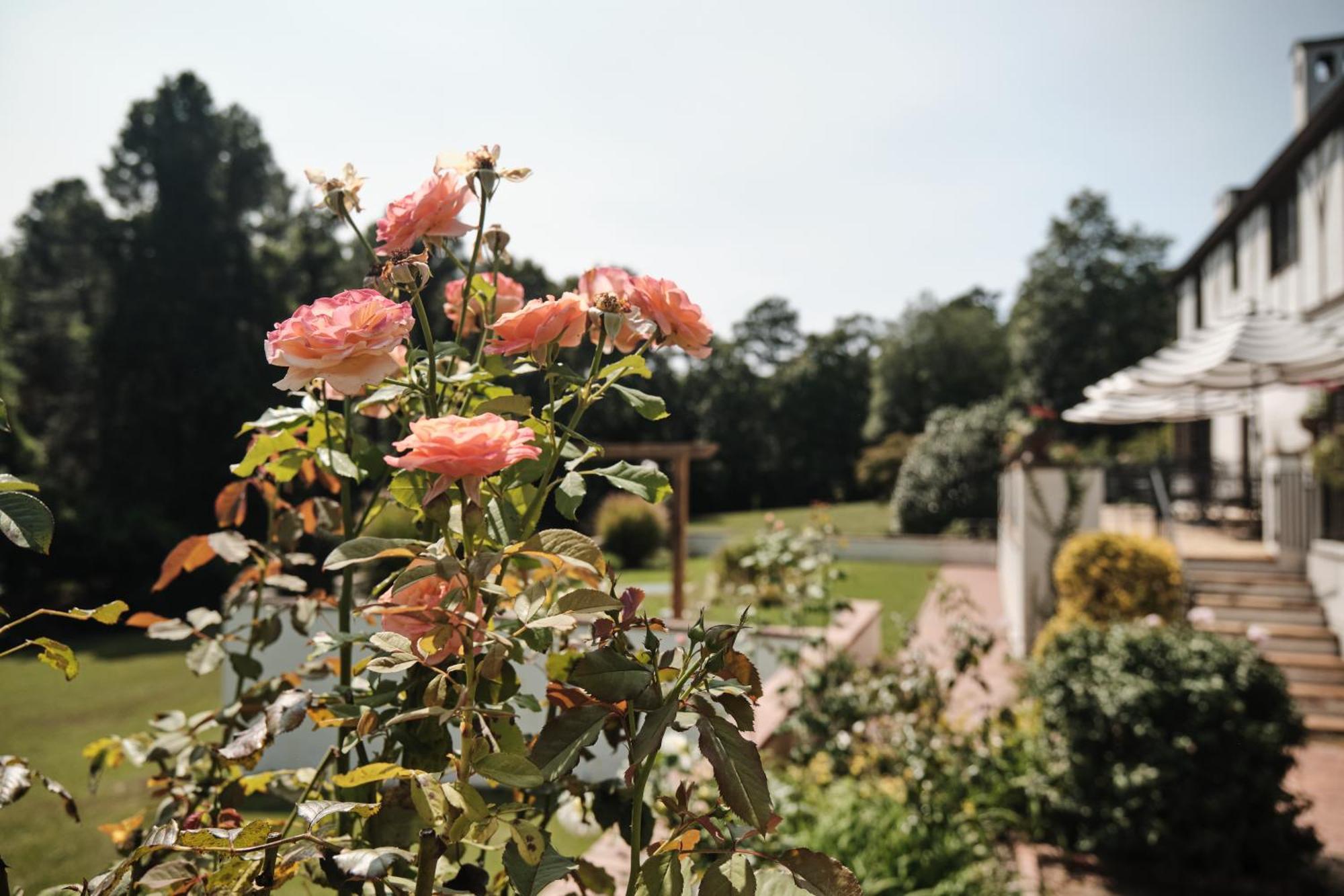 Bed and Breakfast Duncraig Manor Southern Pines Exteriér fotografie